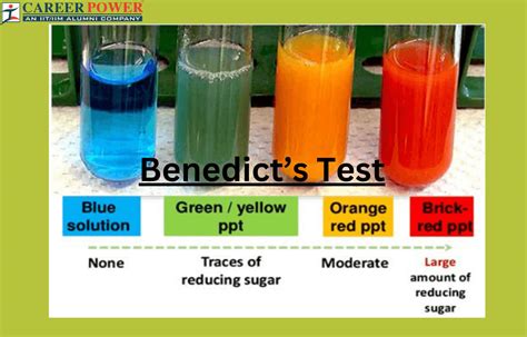 benedict's test colors|Benedict’s test: Definition, Principle, Uses, and Reagent.